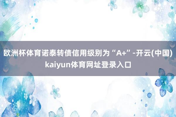 欧洲杯体育诺泰转债信用级别为“A+”-开云(中国)kaiyun体育网址登录入口
