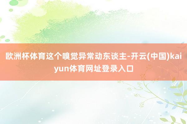 欧洲杯体育这个嗅觉异常动东谈主-开云(中国)kaiyun体育网址登录入口